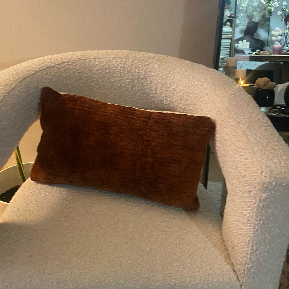 Cozy Brown Velvet Throw Pillow